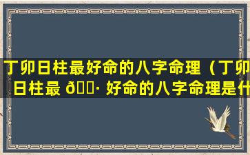 丁卯日柱最好命的八字命理（丁卯日柱最 🕷 好命的八字命理是什么）